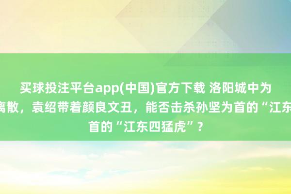 买球投注平台app(中国)官方下载 洛阳城中为争夺王印离散，袁绍带着颜良文丑，能否击杀孙坚为首的“江东四猛虎”？