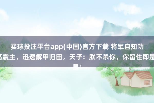 买球投注平台app(中国)官方下载 将军自知功高震主，迅速解甲归田，天子：朕不杀你，你留住即是！