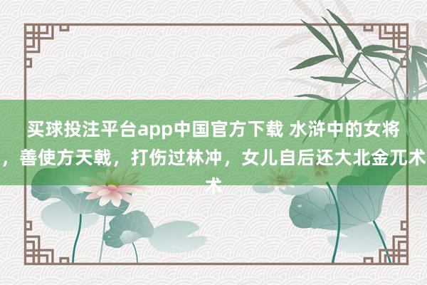 买球投注平台app中国官方下载 水浒中的女将，善使方天戟，打伤过林冲，女儿自后还大北金兀术