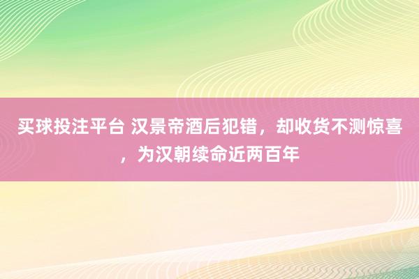 买球投注平台 汉景帝酒后犯错，却收货不测惊喜，为汉朝续命近两百年