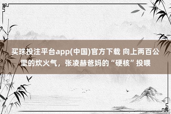 买球投注平台app(中国)官方下载 向上两百公里的炊火气，张凌赫爸妈的“硬核”投喂