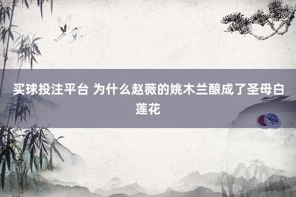 买球投注平台 为什么赵薇的姚木兰酿成了圣母白莲花