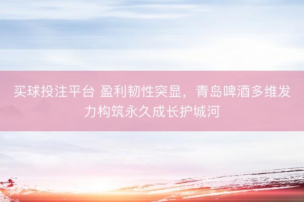 买球投注平台 盈利韧性突显，青岛啤酒多维发力构筑永久成长护城河