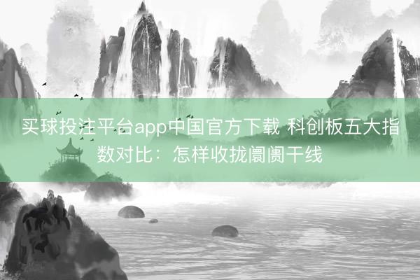 买球投注平台app中国官方下载 科创板五大指数对比：怎样收拢阛阓干线