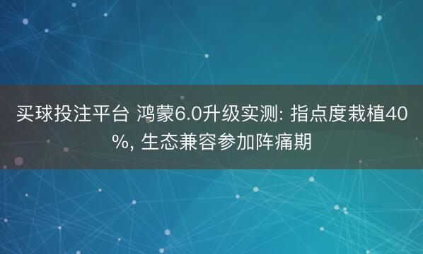 买球投注平台 鸿蒙6.0升级实测: 指点度栽植40%， 生态兼容参加阵痛期