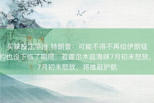 买球投注平台 特朗普：可能不得不再给伊朗猛烈一击！北约也设下临了期限：若霍尔木兹海峡7月初未怒放，将推敲护航