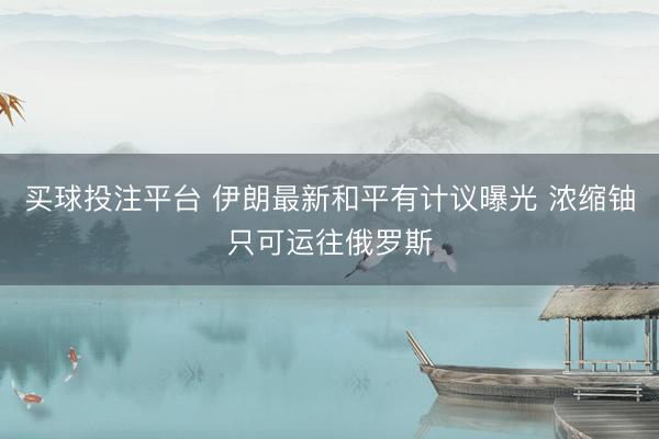 买球投注平台 伊朗最新和平有计议曝光 浓缩铀只可运往俄罗斯
