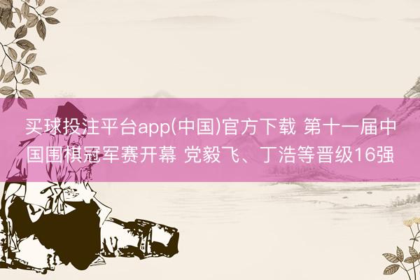 买球投注平台app(中国)官方下载 第十一届中国围棋冠军赛开幕 党毅飞、丁浩等晋级16强