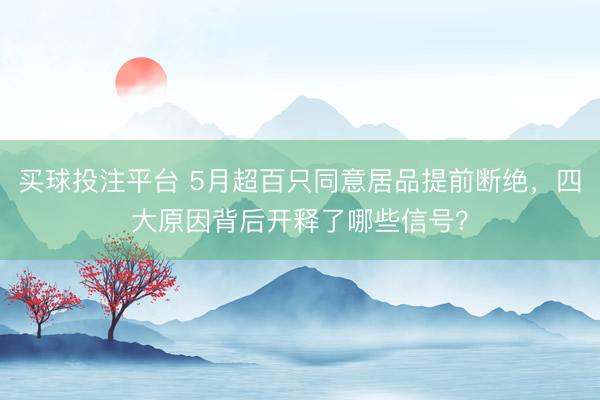 买球投注平台 5月超百只同意居品提前断绝，四大原因背后开释了哪些信号？