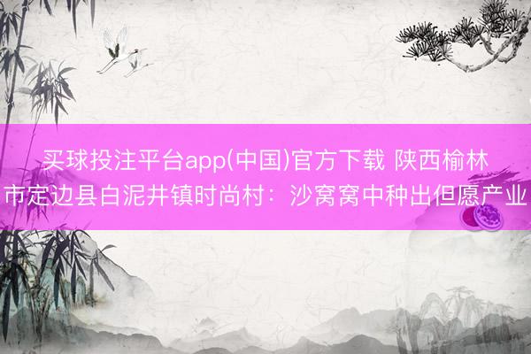 买球投注平台app(中国)官方下载 陕西榆林市定边县白泥井镇时尚村：沙窝窝中种出但愿产业