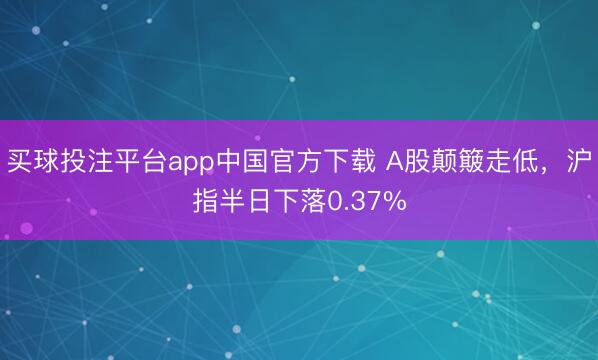买球投注平台app中国官方下载 A股颠簸走低，沪指半日下落0.37%
