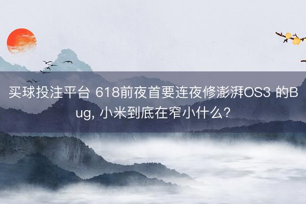 买球投注平台 618前夜首要连夜修澎湃OS3 的Bug， 小米到底在窄小什么?