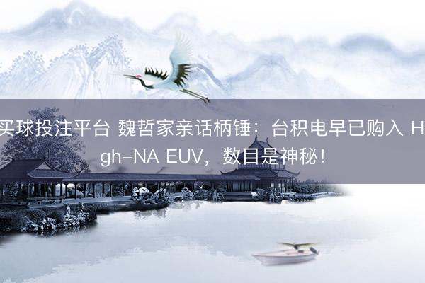 买球投注平台 魏哲家亲话柄锤：台积电早已购入 High-NA EUV，数目是神秘！