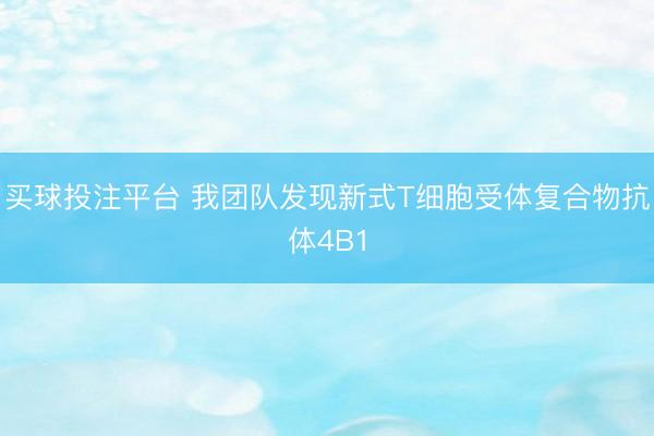 买球投注平台 我团队发现新式T细胞受体复合物抗体4B1