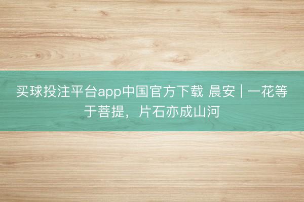 买球投注平台app中国官方下载 晨安 | 一花等于菩提，片石亦成山河