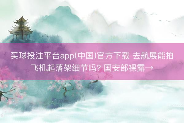 买球投注平台app(中国)官方下载 去航展能拍飞机起落架细节吗? 国安部裸露→