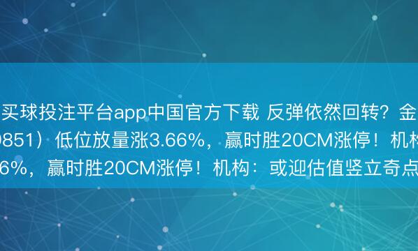 买球投注平台app中国官方下载 反弹依然回转？金融科技ETF华宝（159851）低位放量涨3.66%，赢时胜20CM涨停！机构：或迎估值竖立奇点