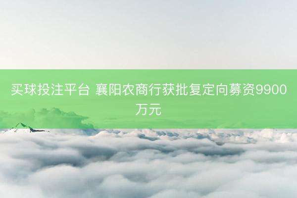 买球投注平台 襄阳农商行获批复定向募资9900万元