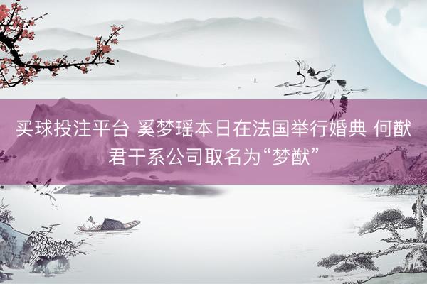 买球投注平台 奚梦瑶本日在法国举行婚典 何猷君干系公司取名为“梦猷”
