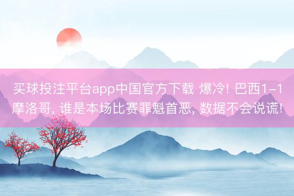 买球投注平台app中国官方下载 爆冷! 巴西1-1摩洛哥, 谁是本场比赛罪魁首恶, 数据不会说谎!