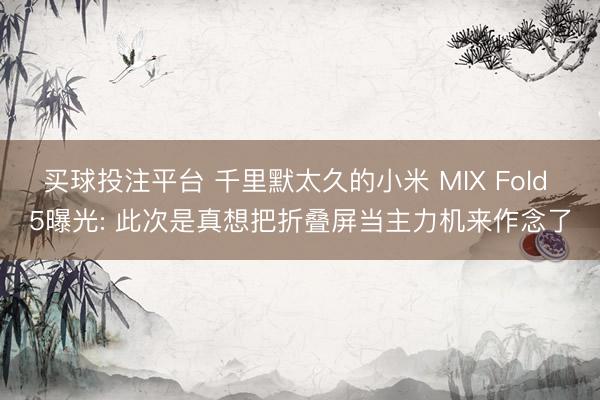 买球投注平台 千里默太久的小米 MIX Fold 5曝光: 此次是真想把折叠屏当主力机来作念了