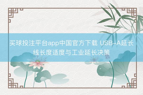买球投注平台app中国官方下载 USB-A延长线长度适度与工业延长决策
