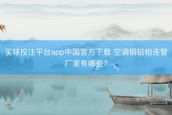 买球投注平台app中国官方下载 空调铜铝相连管厂家有哪些?