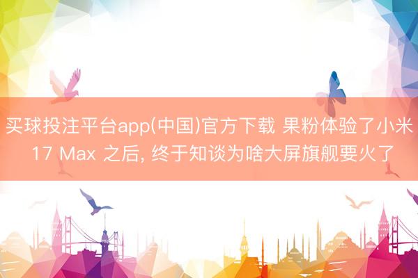 买球投注平台app(中国)官方下载 果粉体验了小米 17 Max 之后, 终于知谈为啥大屏旗舰要火了
